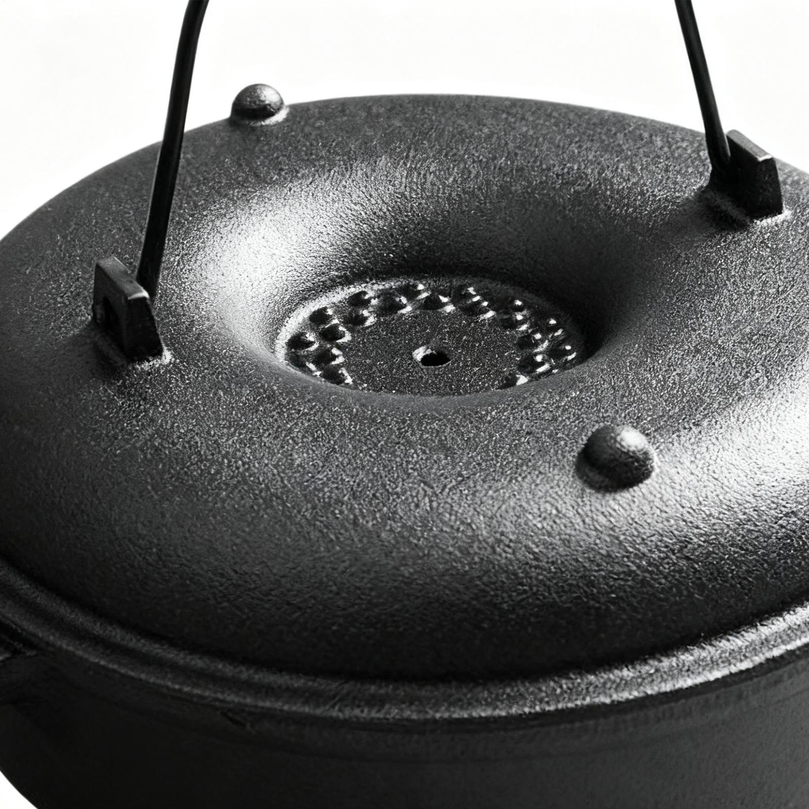 손잡이가 있는 논스틱 조리기구용 대형 냄비, 뚜껑이 있 - Camping Cooking Ovens 리뷰 및 가격